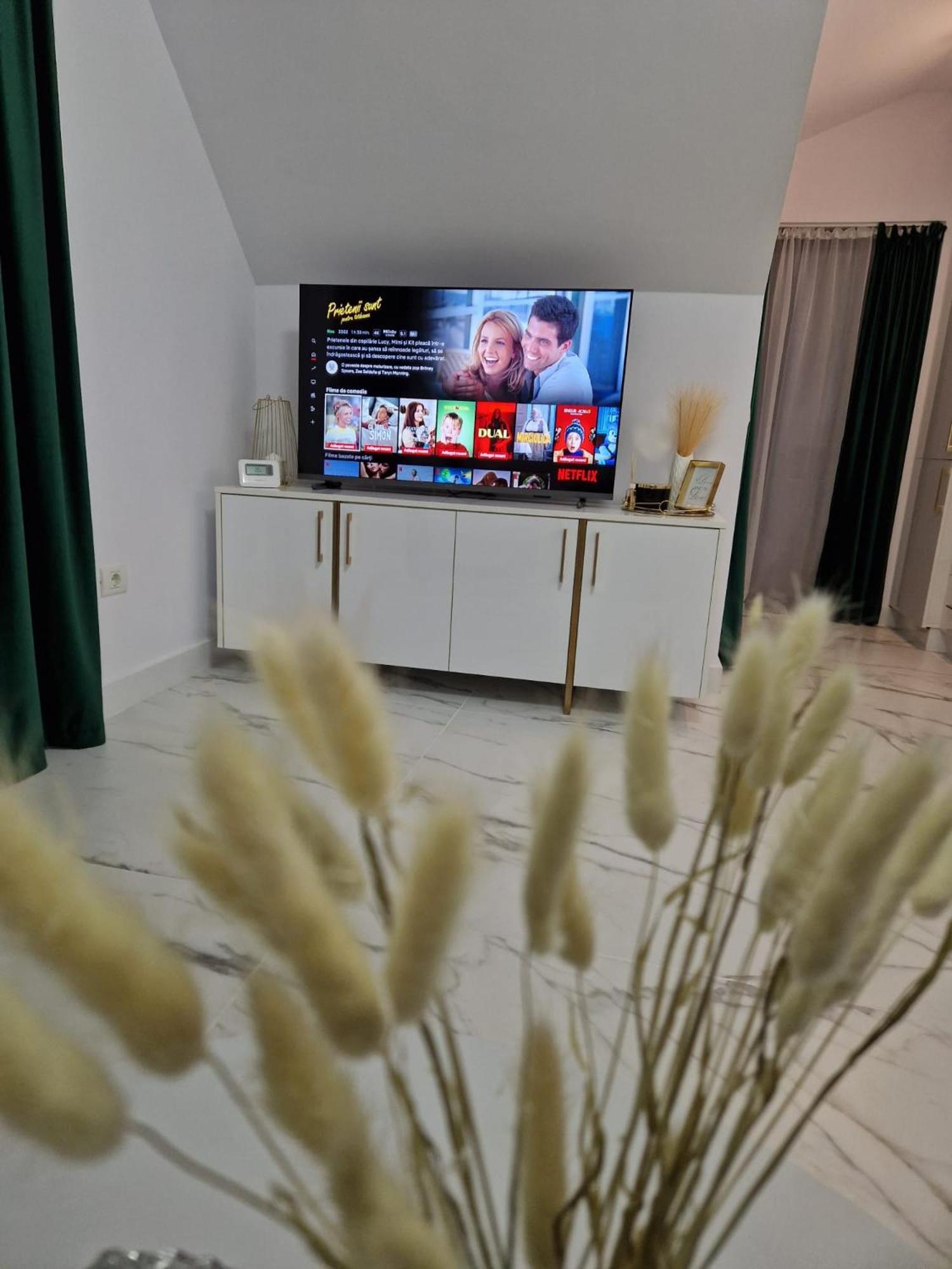 Gold Tag Apartament Timişoara Buitenkant foto