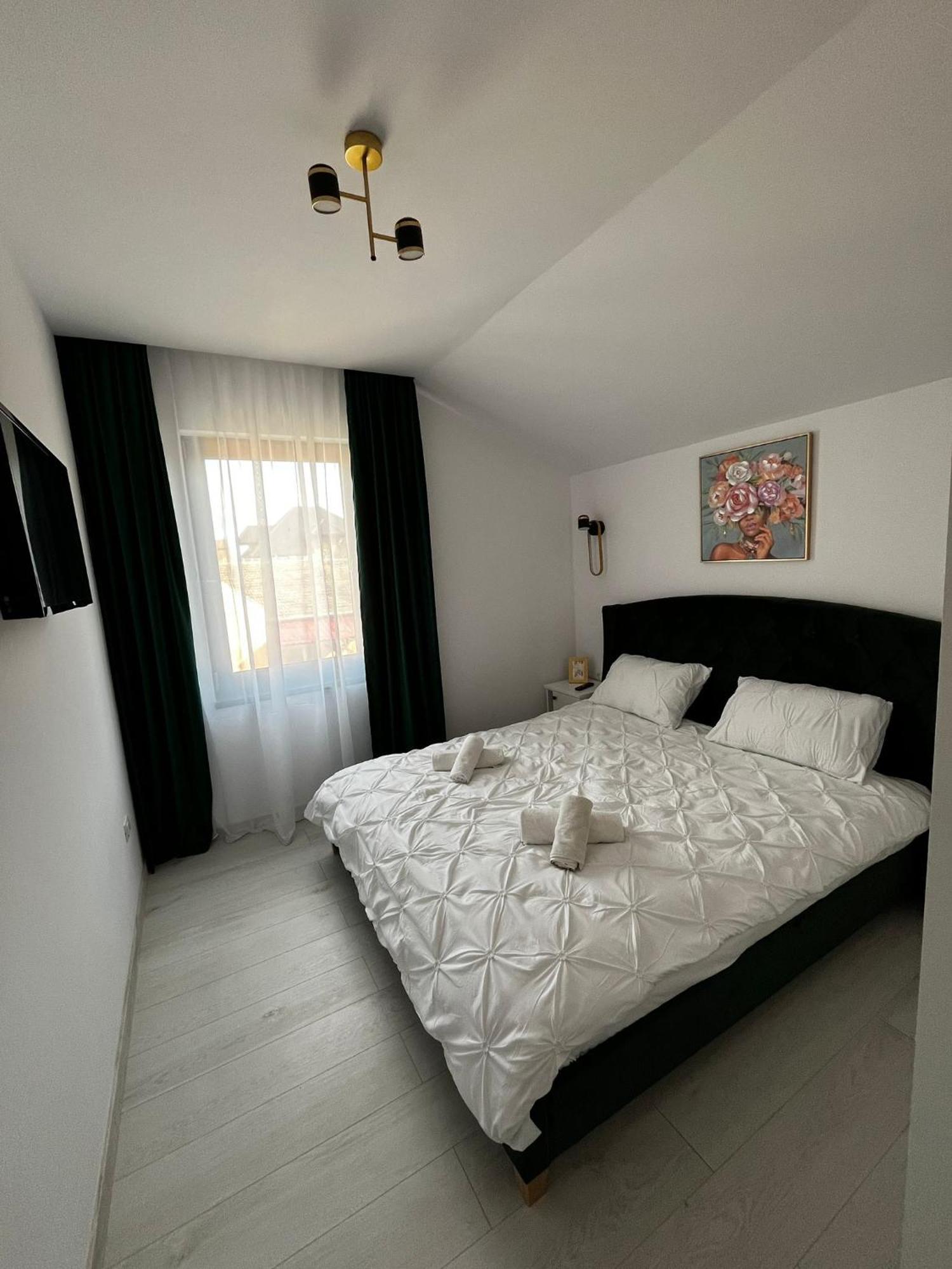 Gold Tag Apartament Timişoara Buitenkant foto